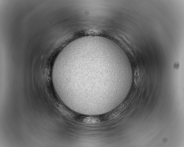 X0000099290714200805231321