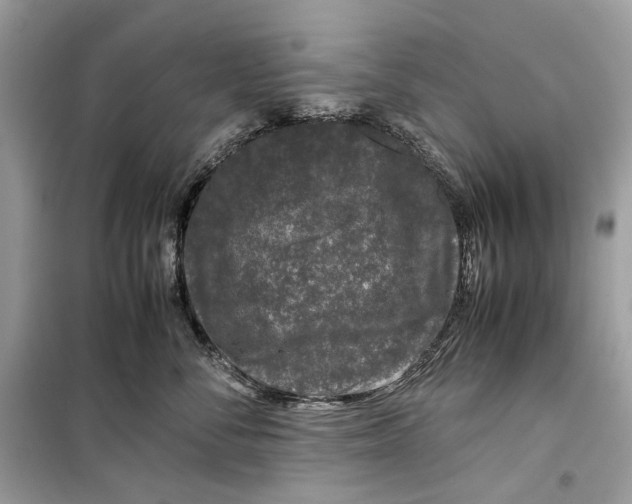 X0000099290716200805231321