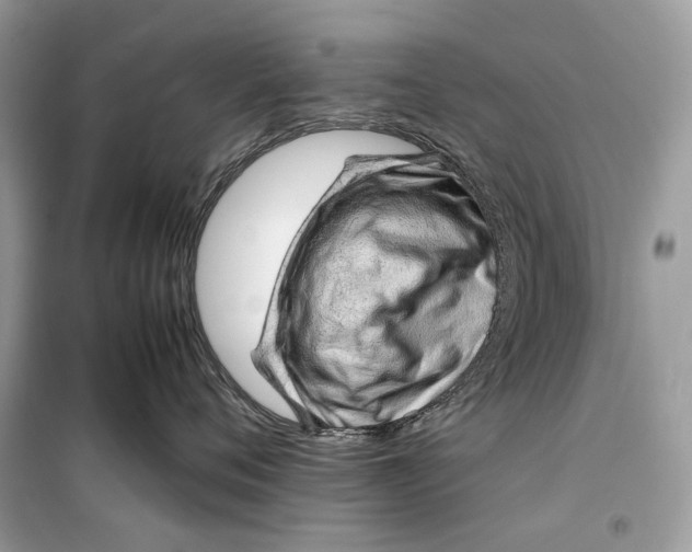 X0000099290720200805231321