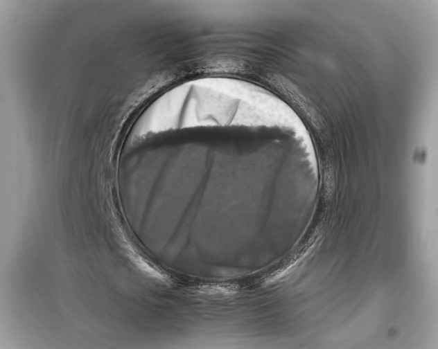 X0000099290721200805231320