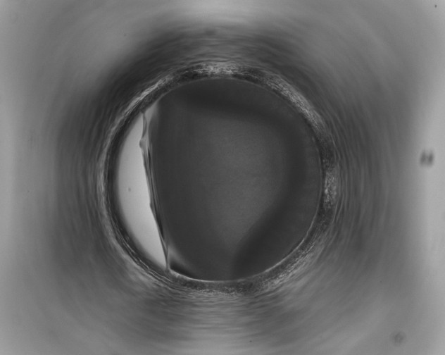 X0000099290722200805231320