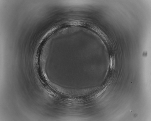 X0000099290723200805231320