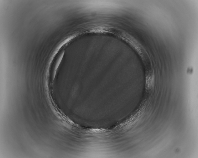 X0000099290724200805231320