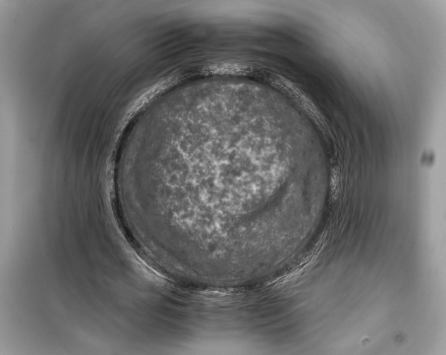 X0000099290725200805231320