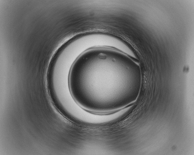 X0000099290726200805231320