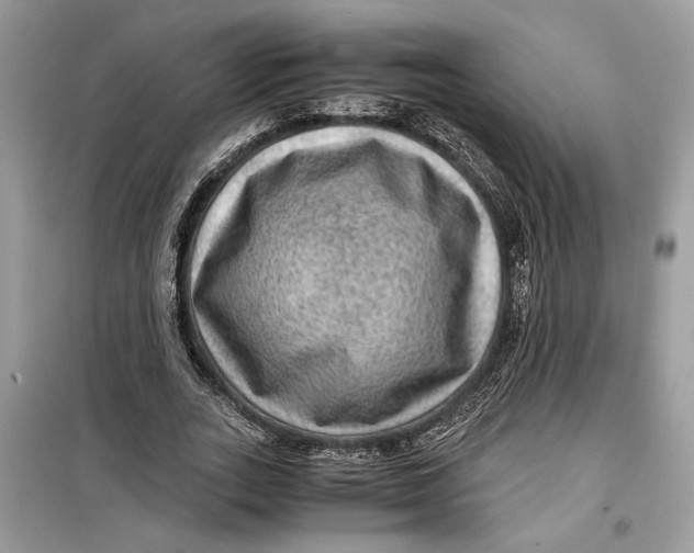 X0000099290727200805231320