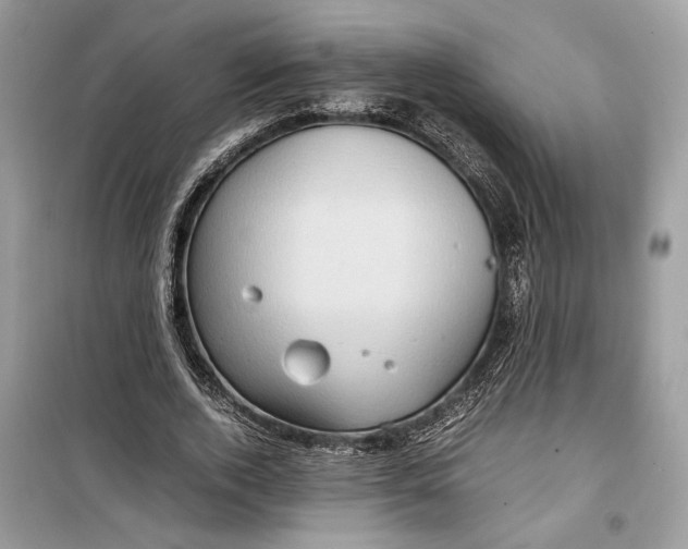 X0000099290728200805231320