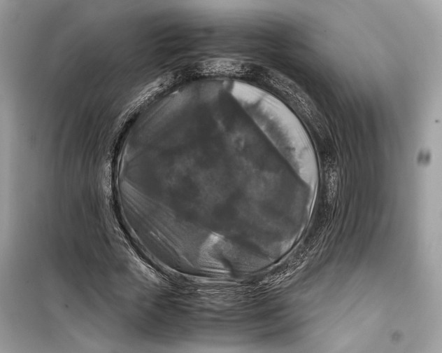 X0000099290729200805231320