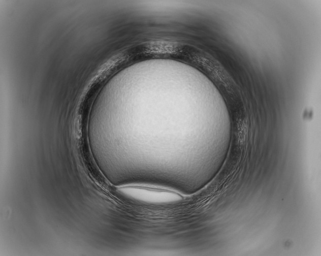 X0000099290731200805231320