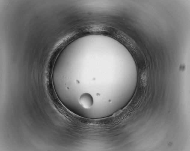 X0000099290732200805231320