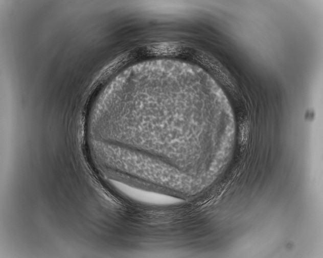 X0000099290733200805231320