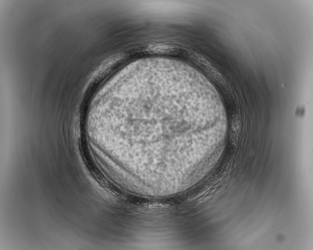 X0000099290734200805231320