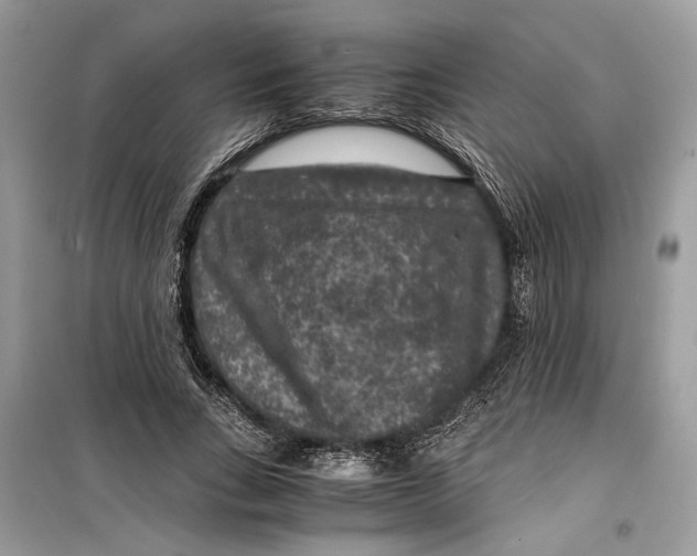 X0000099290735200805231320