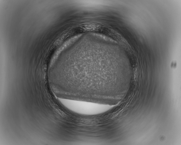 X0000099290737200805231320