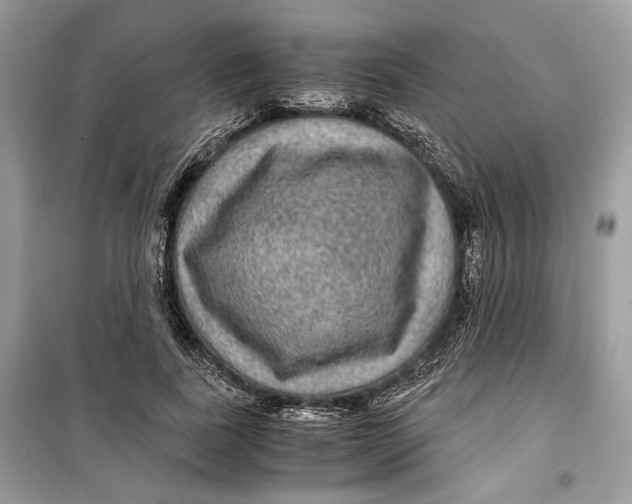 X0000099290739200805231320