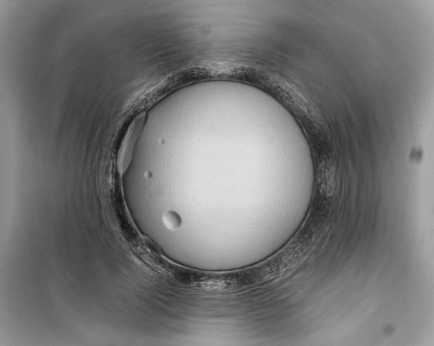 X0000099290740200805231320