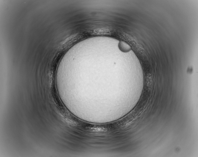 X0000099290741200805231320