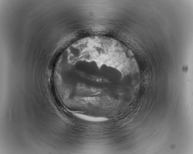 X0000099290742200805231320