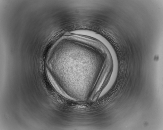 X0000099290743200805231320