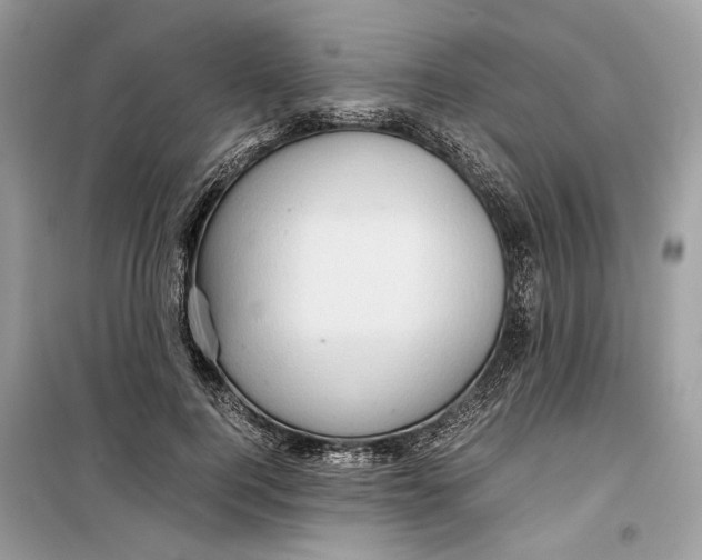 X0000099290744200805231320