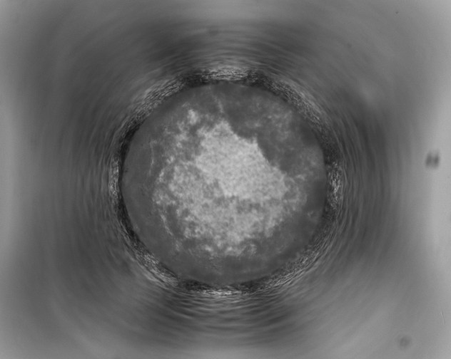 X0000099290745200805231320