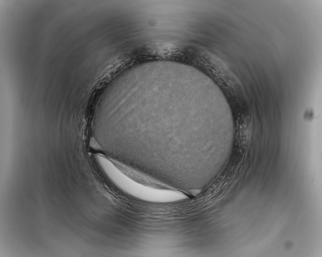 X0000099290750200805231320