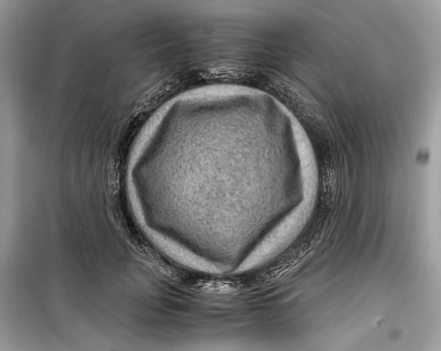 X0000099290751200805231320