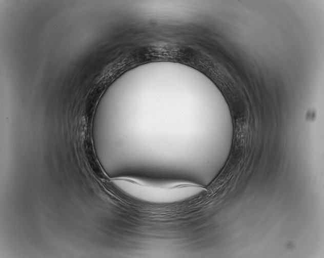 X0000099290752200805231320