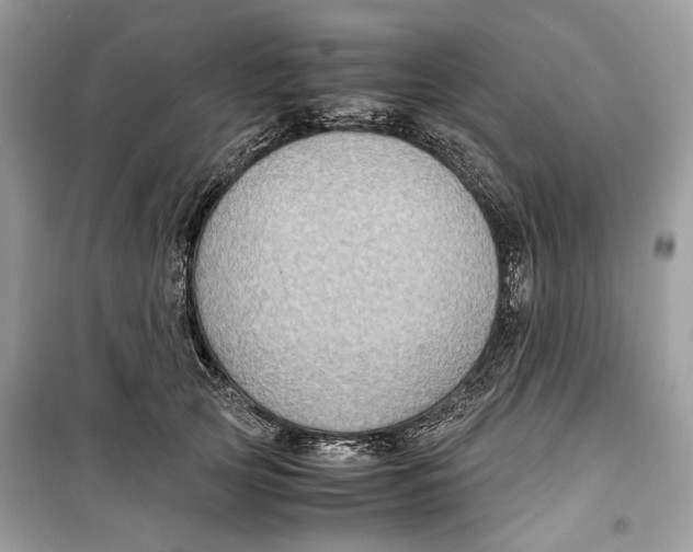 X0000099290753200805231320