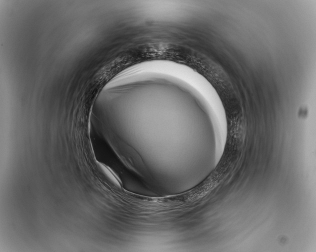 X0000099290754200805231320