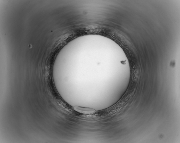 X0000099290756200805231320