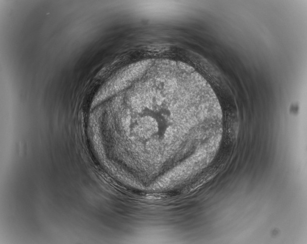 X0000099290758200805231320