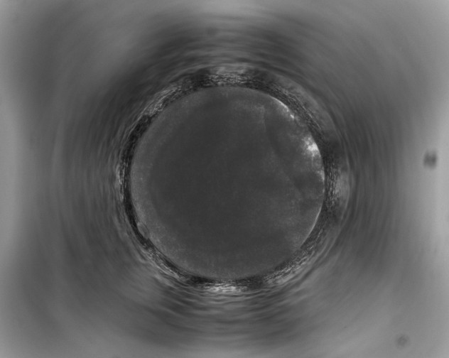 X0000099290759200805231320