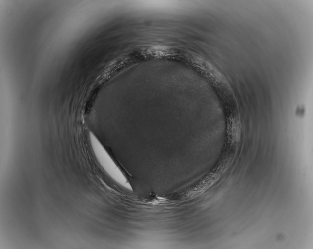 X0000099290760200805231320