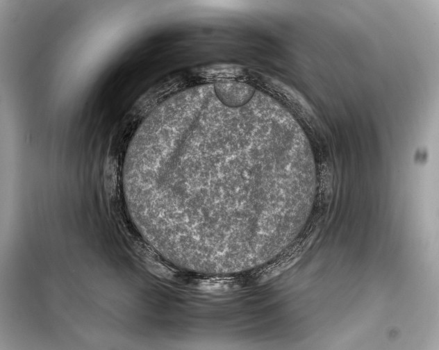 X0000099290761200805231321