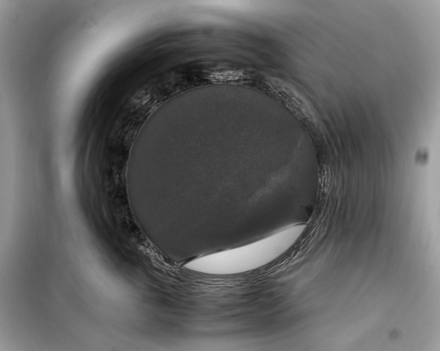 X0000099290763200805231321