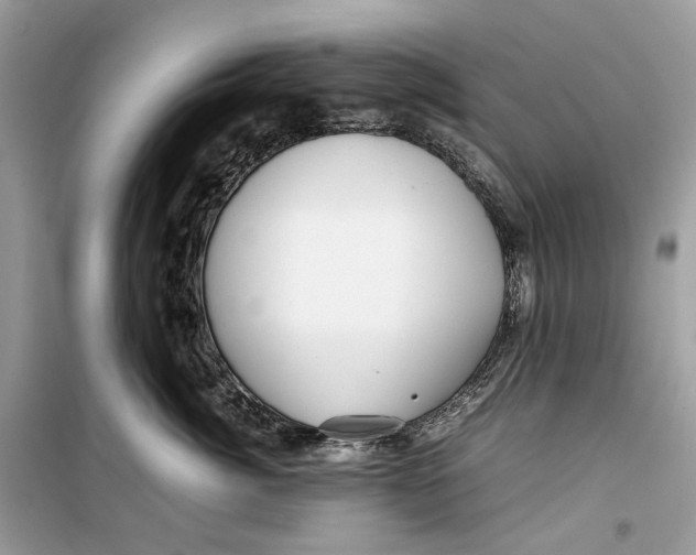 X0000099290764200805231321