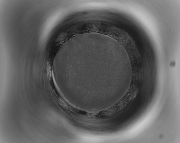 X0000099290766200805231321