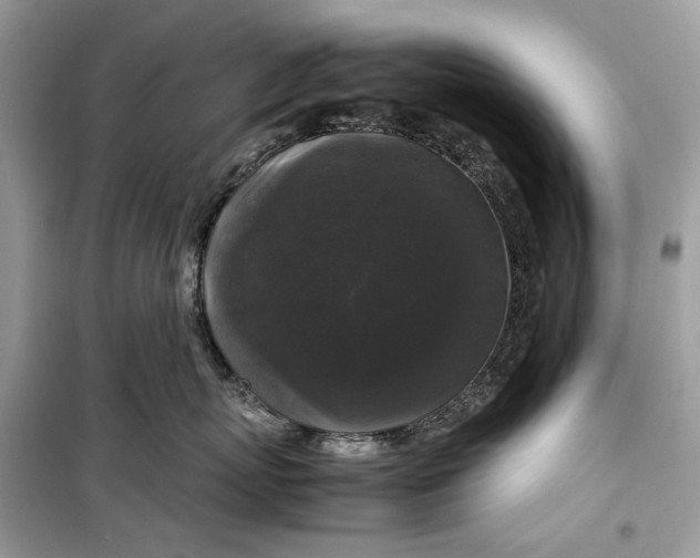 X0000099290767200805231321