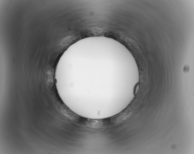 X0000099290768200805231321