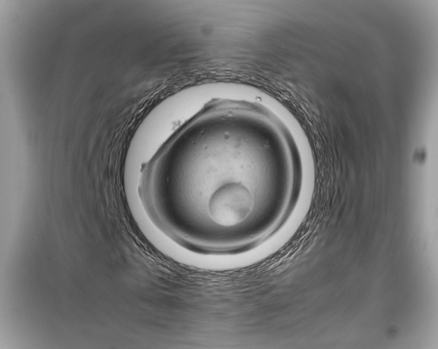 X0000099290769200805231320