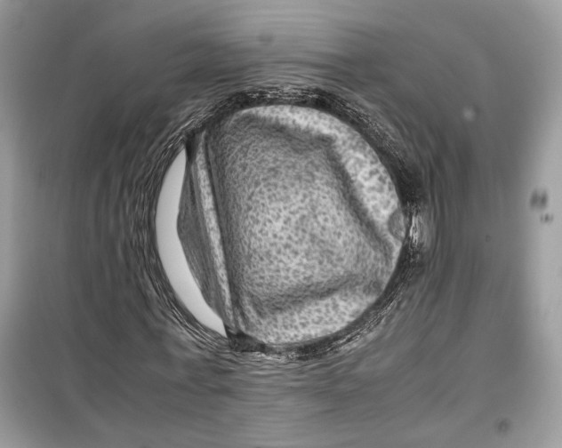 X0000099290771200805231320