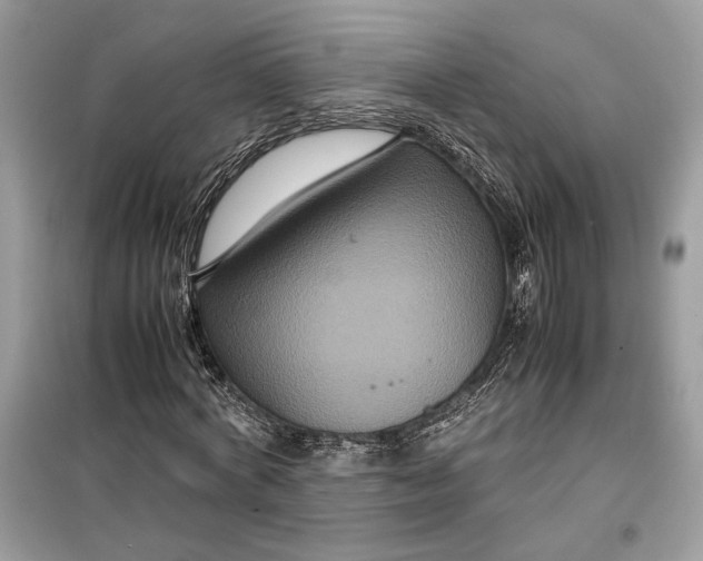 X0000099290772200805231320