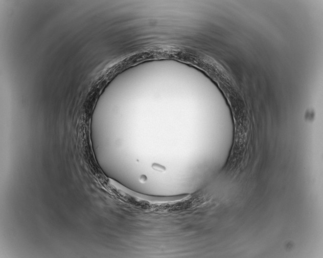 X0000099290773200805231320