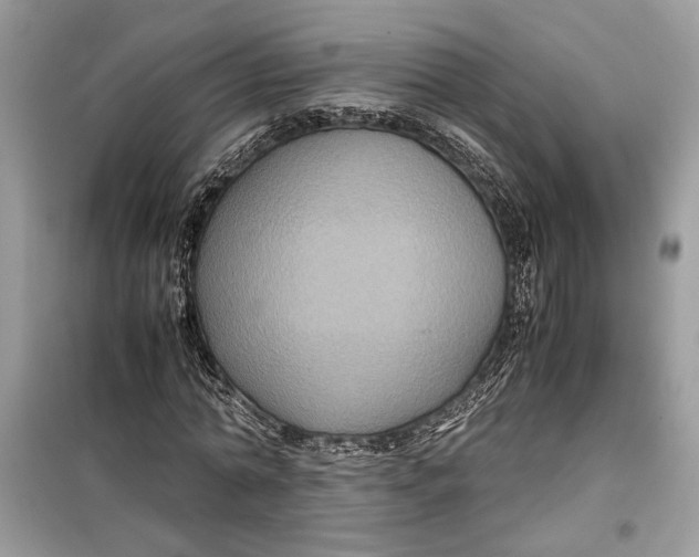 X0000099290774200805231320