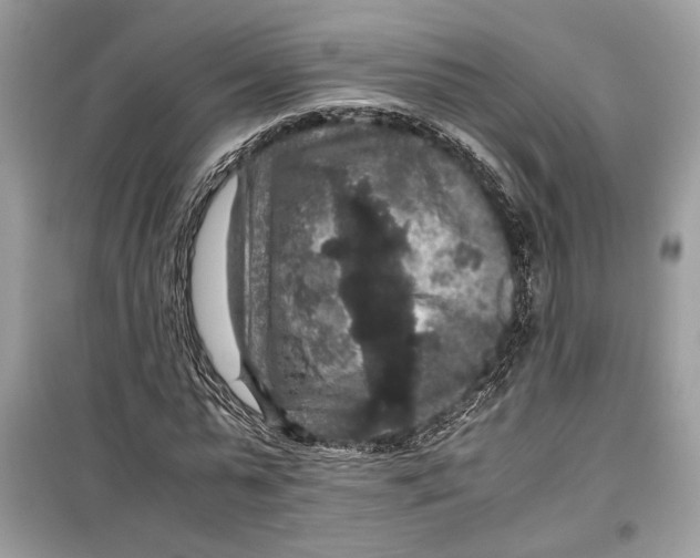 X0000099290775200805231320