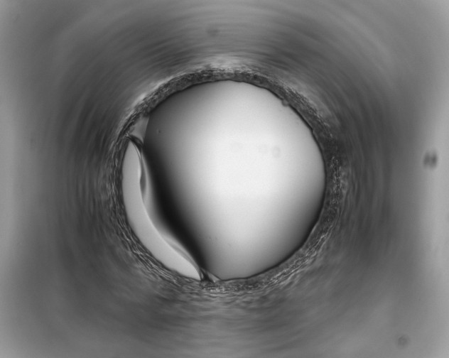 X0000099290776200805231320