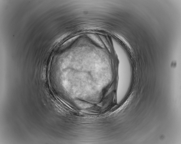 X0000099290777200805231320