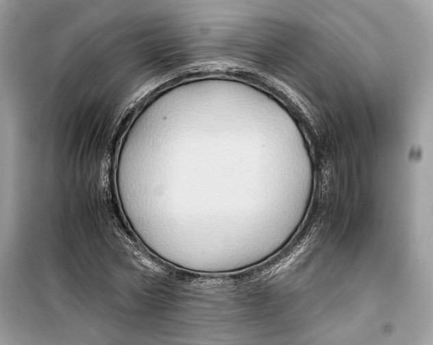 X0000099290778200805231320