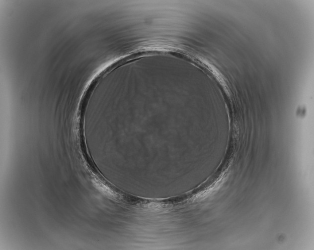 X0000099290779200805231320